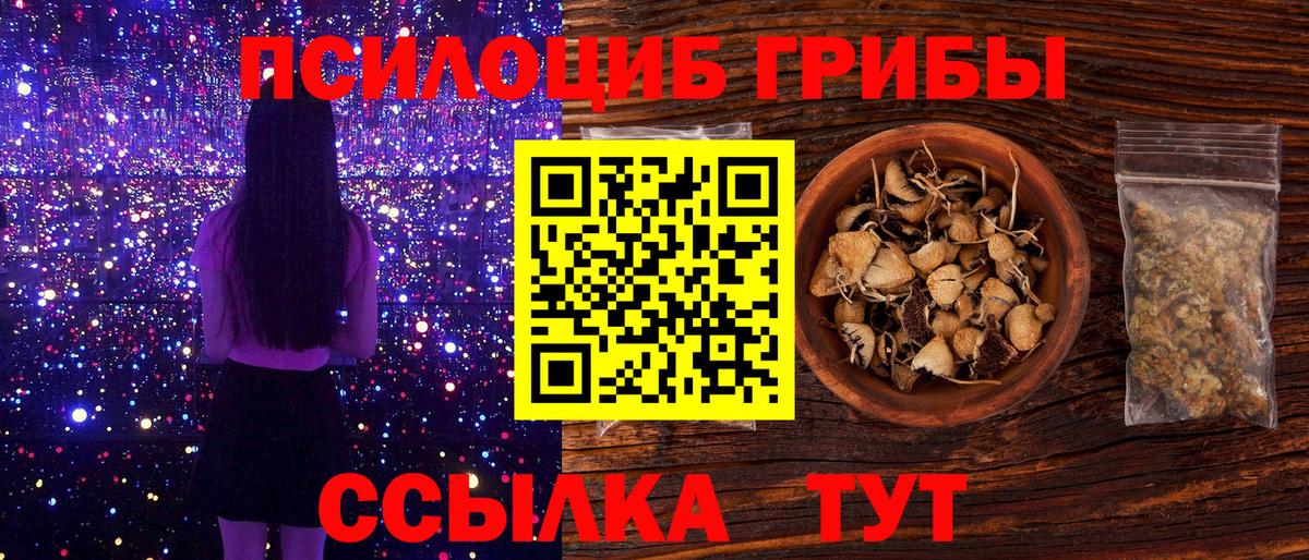Псилоцибиновые грибы Psilocybe  Вход с VPN  даркнет сайт  Галлюциногенные грибы Psilocybe  Мурманск 